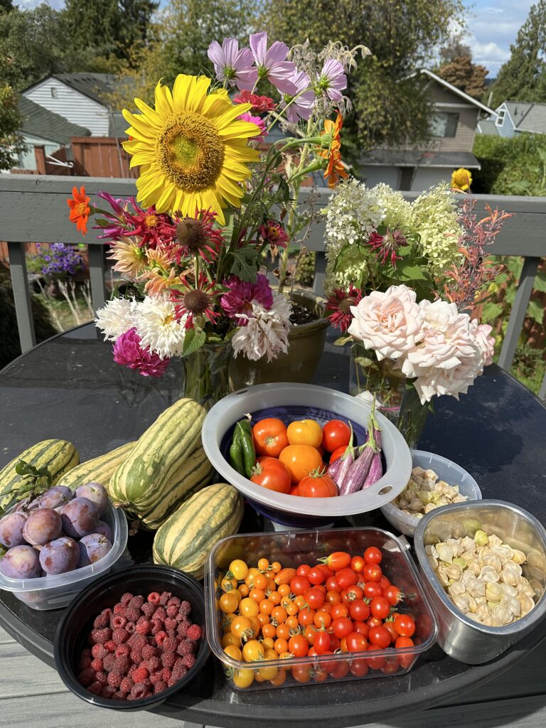An summer harvest of mixed flowers, squash, plums, raspberries, tomatoes, cherry tomatoes, jalepenos, eggplant, and ground cherry